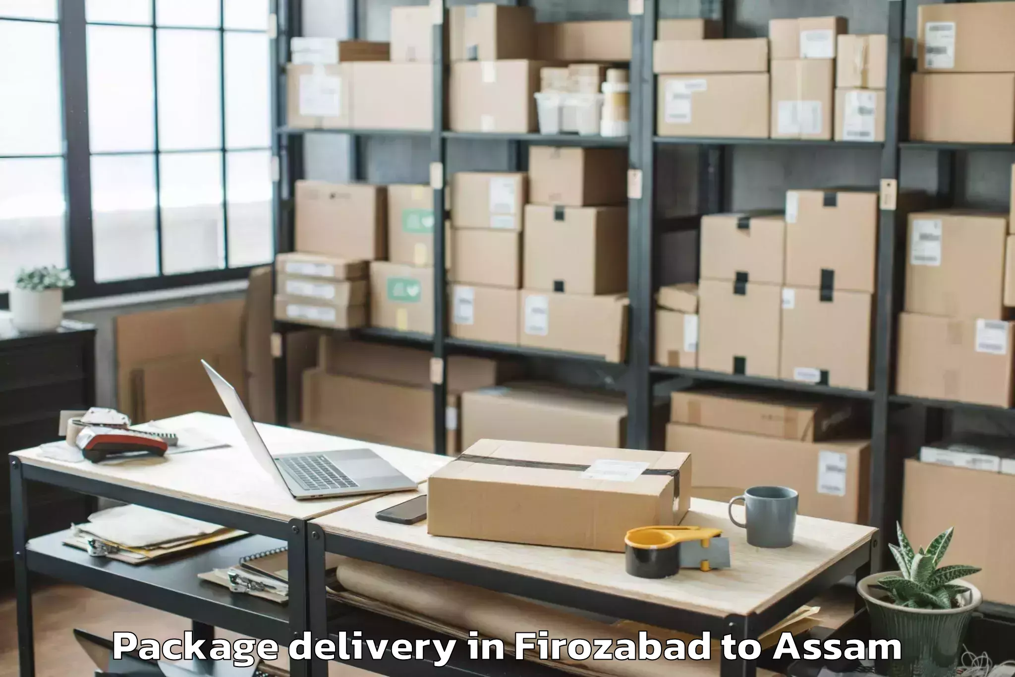 Reliable Firozabad to Hajo Package Delivery